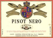 Pinot nero_Cavit 1970